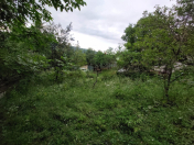 Satılır 6 sot torpaq Quba