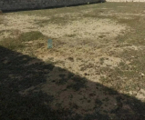 Satılır 3 sot torpaq Albalı