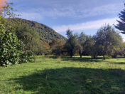 Satılır 40 sot torpaq Qəbələ