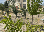 Satılır 7 otaqlı 378 m2 həyət evi Güzdək