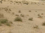 Satılır 8 sot torpaq Qobu