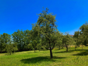 Satılır 25 sot torpaq Quba