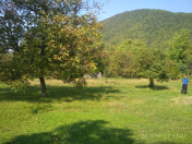 Satılır 20 sot torpaq Qax