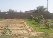 Satılır 2 otaqlı 20 m2 yeni tikili Türkan