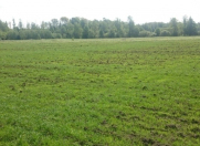 Satılır 15 sot torpaq Qusar