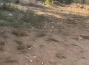 Satılır 2 sot torpaq Y.Günəşli