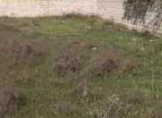 Satılır 21 sot torpaq Nardaran