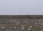 Satılır 9000 sot torpaq Tovuz