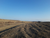 Satılır 1000 sot torpaq Perekeşkül