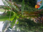 Satılır 6 otaqlı 160 m2 həyət evi Bilgəh