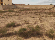 Satılır 6 sot torpaq Saray