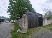 Satılır 9 sot torpaq Qəbələ