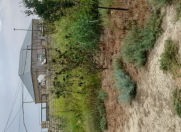 Satılır 3 otaqlı 108 m2 həyət evi Müşfiqabad