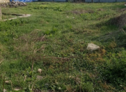 Satılır 6 sot torpaq Xudat