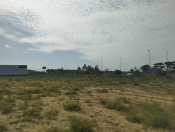 Satılır 12 sot torpaq Saray