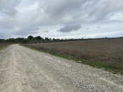 Satılır 126 sot torpaq Xaçmaz