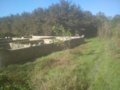 Satılır 60 sot torpaq Oğuz