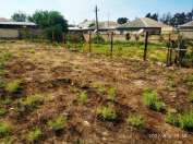 Satılır 6 sot torpaq Hökməli