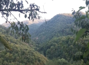 Satılır 3 otaqlı 18 m2 həyət evi Lerik