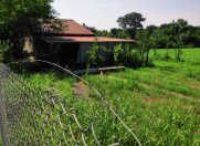 Satılır 600 sot torpaq Zaqatala