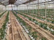 Satılır 1 otaqlı 30000 m2 obyekt Salyan