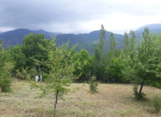 Satılır 8 sot torpaq İsmayıllı