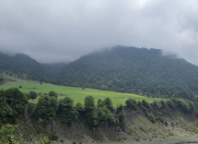 Satılır 140 sot torpaq Qəbələ