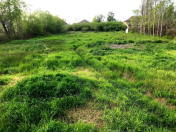 Satılır 20 sot torpaq Xaçmaz