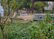 Satılır 3 otaqlı 70 m2 həyət evi Nardaran