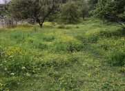 Satılır 3 otaqlı 70 m2 bağ evi Şabran