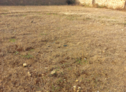 Satılır 4.5 sot torpaq Binə