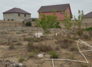 Satılır 12 sot torpaq Türkan