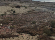 Satılır 32 sot torpaq Badamdar