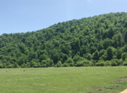 Satılır 12 sot torpaq Qusar