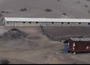 Satılır 10000 sot torpaq Şəki