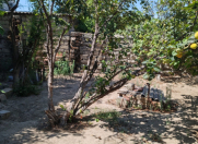 Satılır 5.5 sot torpaq Həzi Aslanov