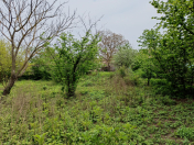 Satılır 22 sot torpaq Xaçmaz