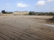 Satılır 17 sot torpaq Nardaran