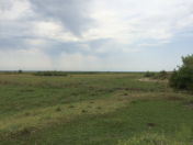 Satılır 86 sot torpaq Göyçay