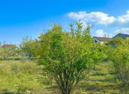 Satılır 20 sot torpaq Novxanı