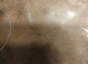 Satılır 6 sot torpaq Məhəmmədli