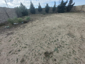 Satılır 12 sot torpaq Şüvəlan