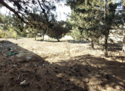 Satılır 10 sot torpaq Badamdar