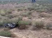 Satılır 6 sot torpaq Suraxanı r.