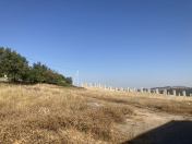 Satılır 12 sot torpaq İsmayıllı