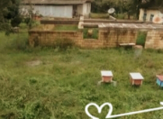 Satılır 3 sot torpaq Lənkəran