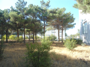 Satılır 253 sot torpaq Bakıxanov