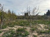 Satılır 6 sot torpaq Mərdəkan