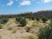 Satılır 2 otaqlı 60 m2 bağ evi Zirə