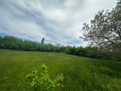 Satılır 6 sot torpaq Xaçmaz